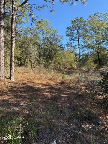 $85,000 | Lot 21 Grassy Pond Road, Chipley, FL 32428