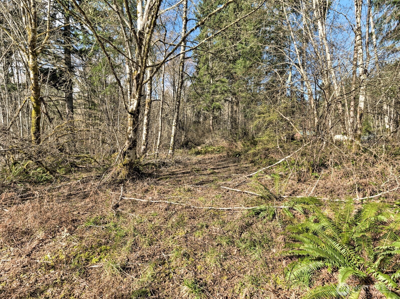 6641 Southeast Arcadia Road Shelton, WA 98584 - Photo 11 of 20