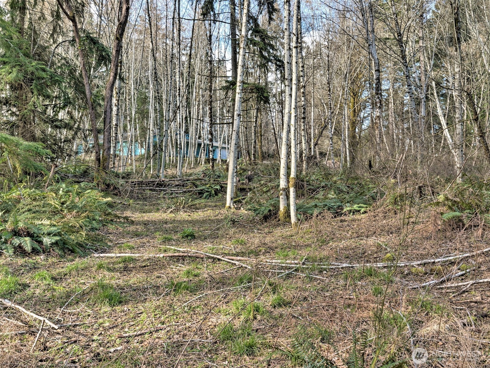 6641 Southeast Arcadia Road Shelton, WA 98584 - Photo 14 of 20