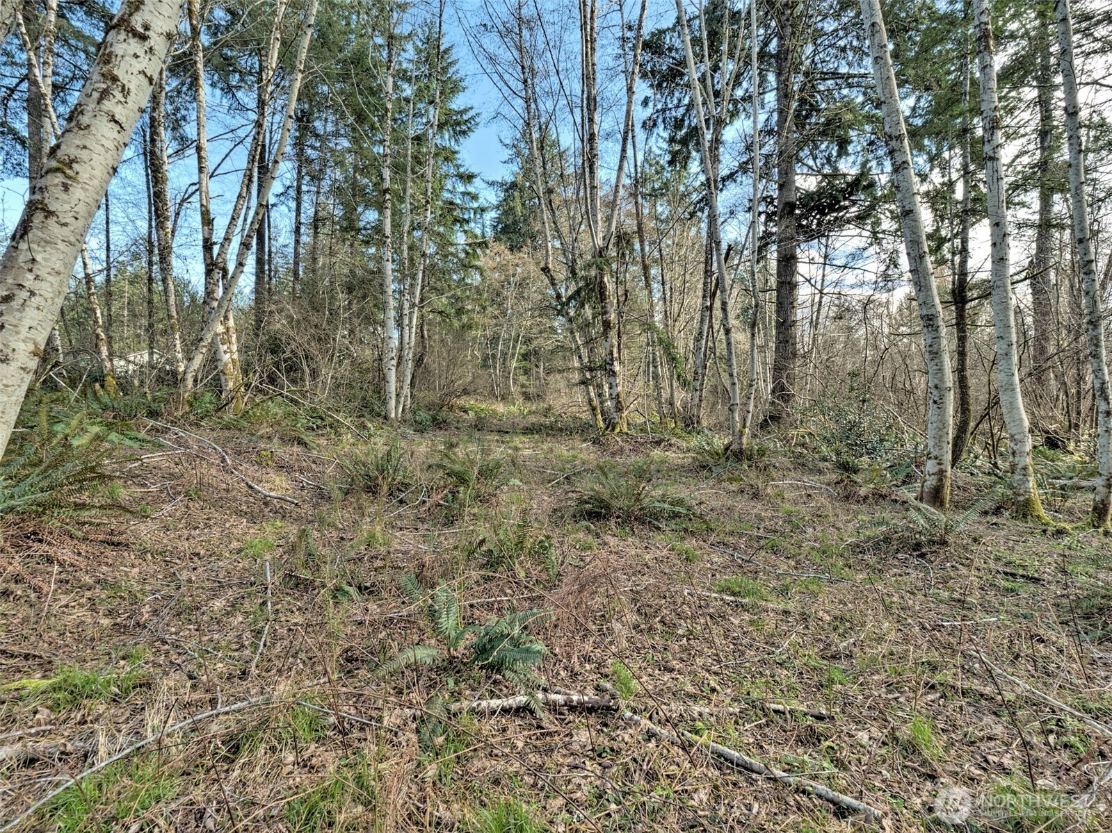 6641 Southeast Arcadia Road Shelton, WA 98584 - Photo 15 of 20