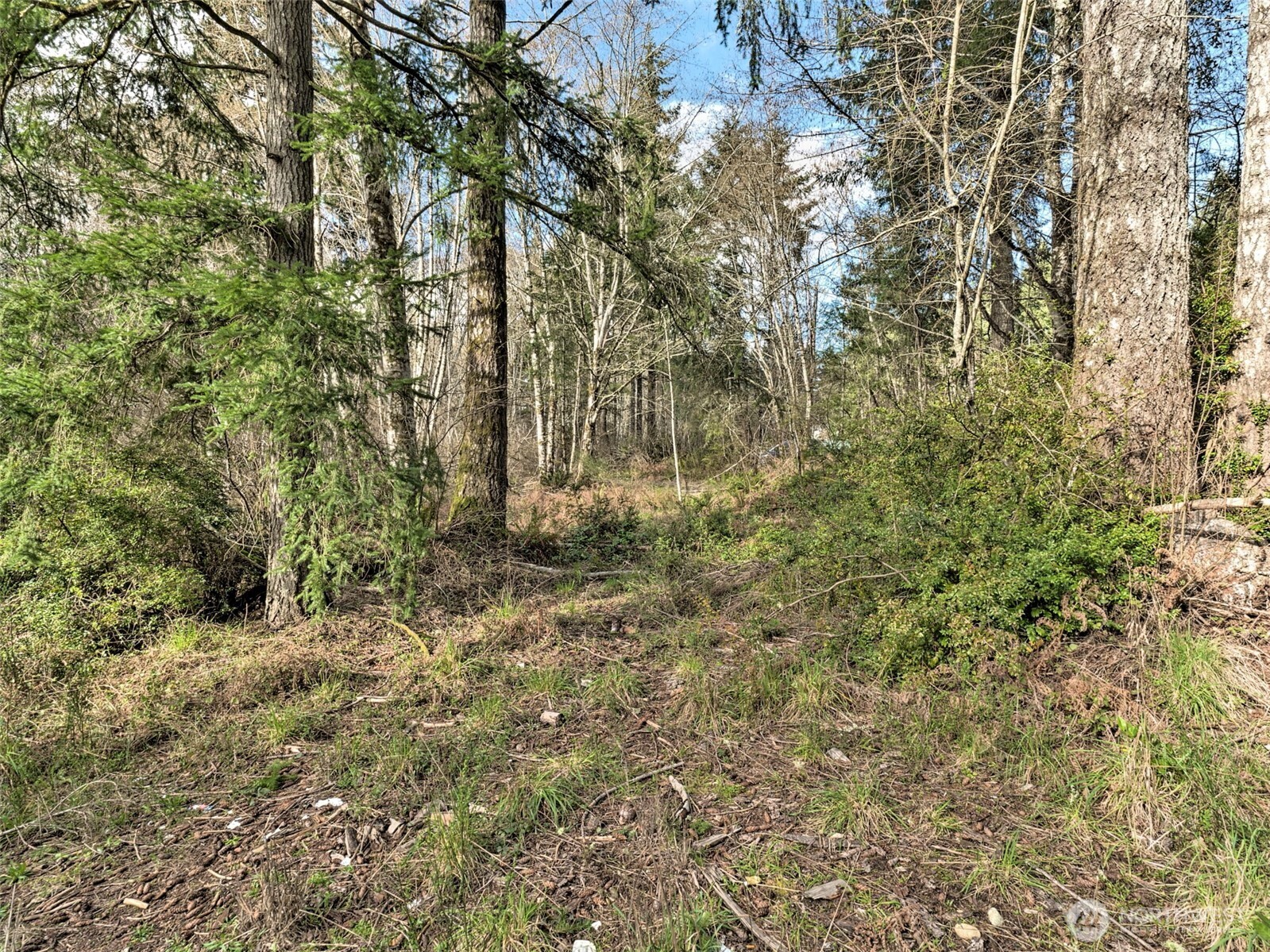 6641 Southeast Arcadia Road Shelton, WA 98584 - Photo 6 of 20