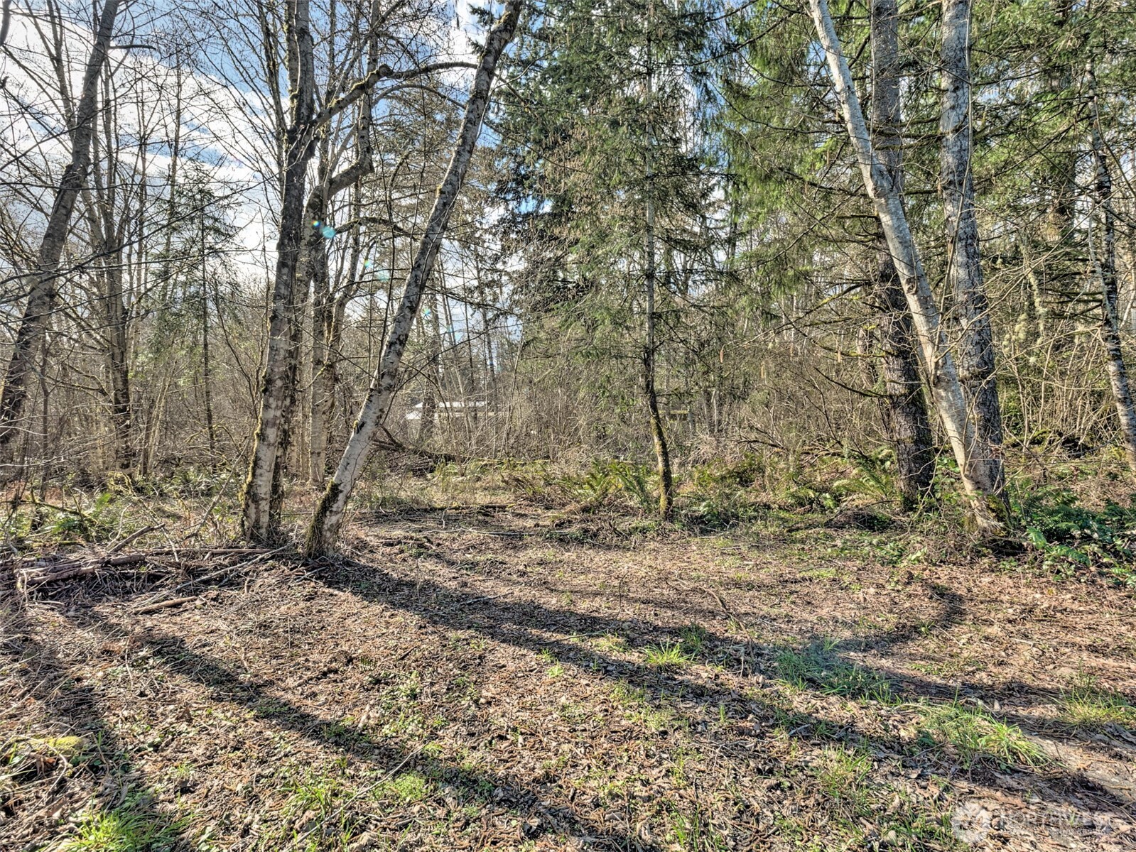 6641 Southeast Arcadia Road Shelton, WA 98584 - Photo 9 of 20