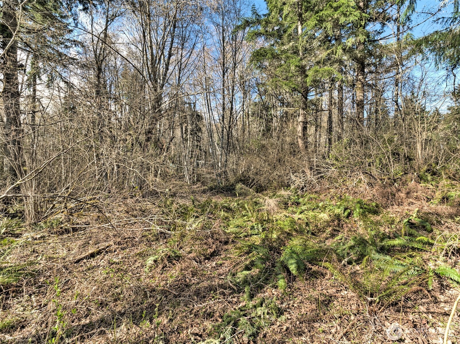 6641 Southeast Arcadia Road Shelton, WA 98584 - Photo 10 of 20