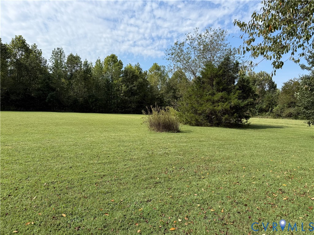 Expansive green lawn surrounded by mature trees