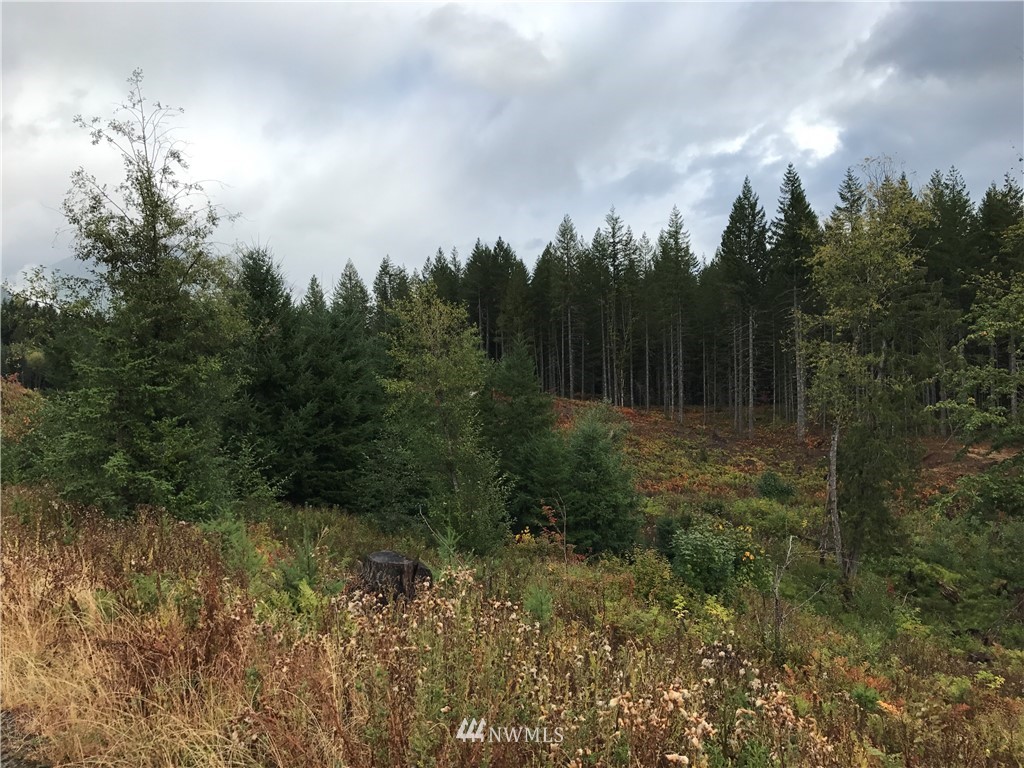 -xx Craig Road Packwood, WA 98361 - Photo 2 of 13 Gallery Image 2