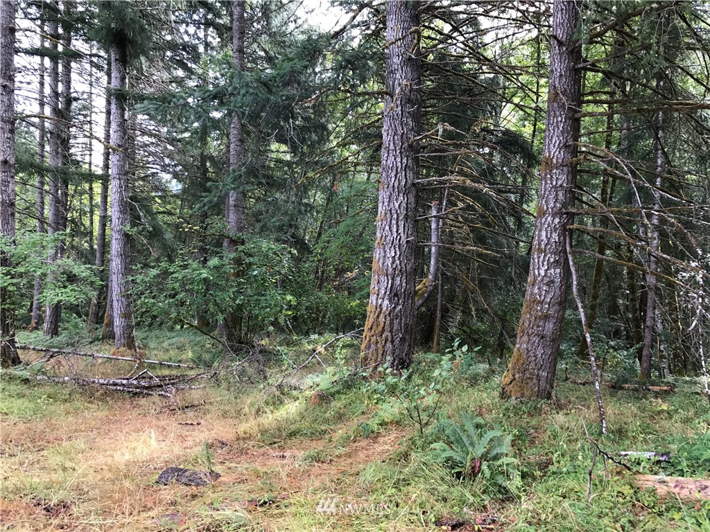 -xx Craig Road Packwood, WA 98361 - Photo 11 of 13 Gallery Image 11