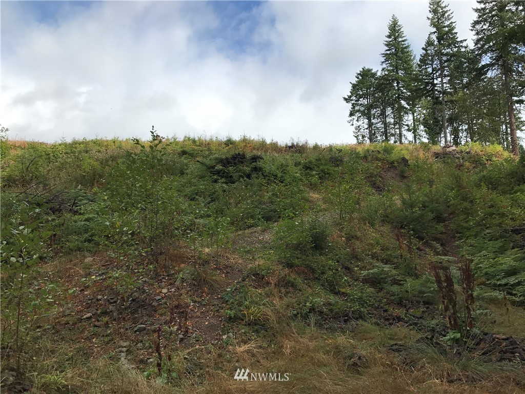 -xx Craig Road Packwood, WA 98361 - Photo 12 of 13 Gallery Image 12