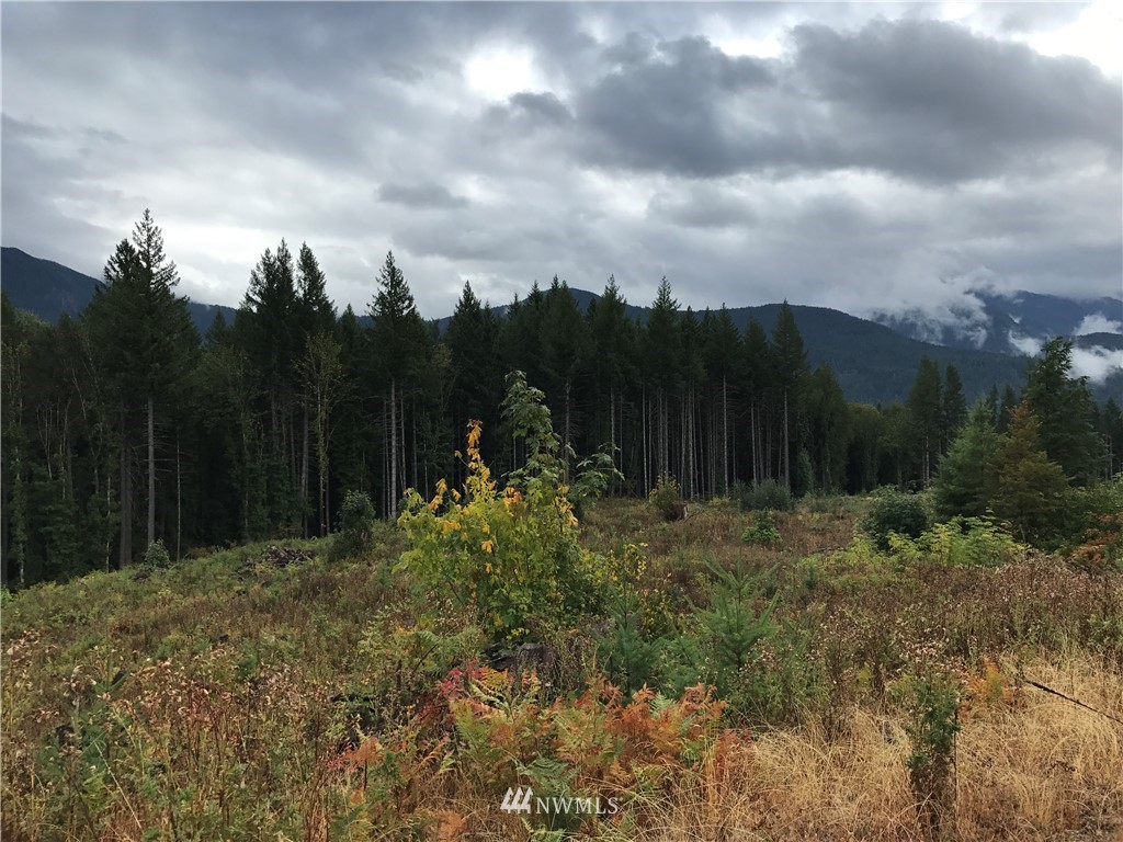-xx Craig Road Packwood, WA 98361 - Photo 4 of 13 Gallery Image 4