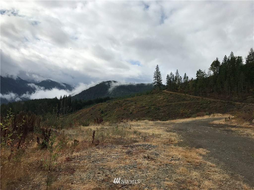 -xx Craig Road Packwood, WA 98361 - Photo 6 of 13 Gallery Image 6
