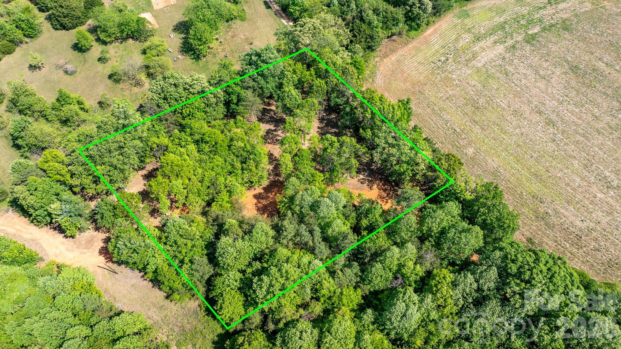 0 Stikeleather Road Hiddenite, NC 28636 - Photo 3 of 28 a view of a garden with a plant