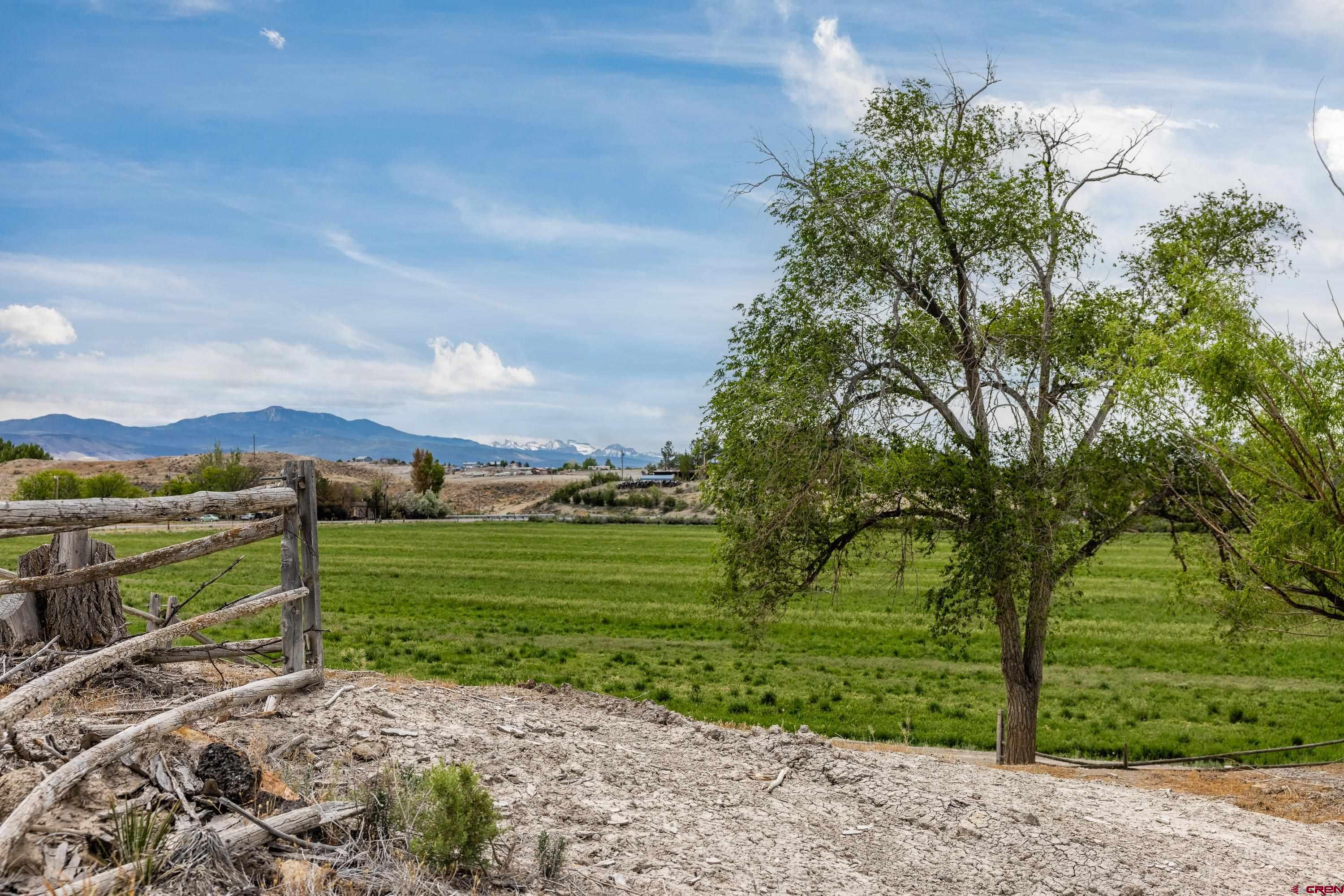 67247 Landfill Road Montrose, CO 81401 - Photo 5 of 19