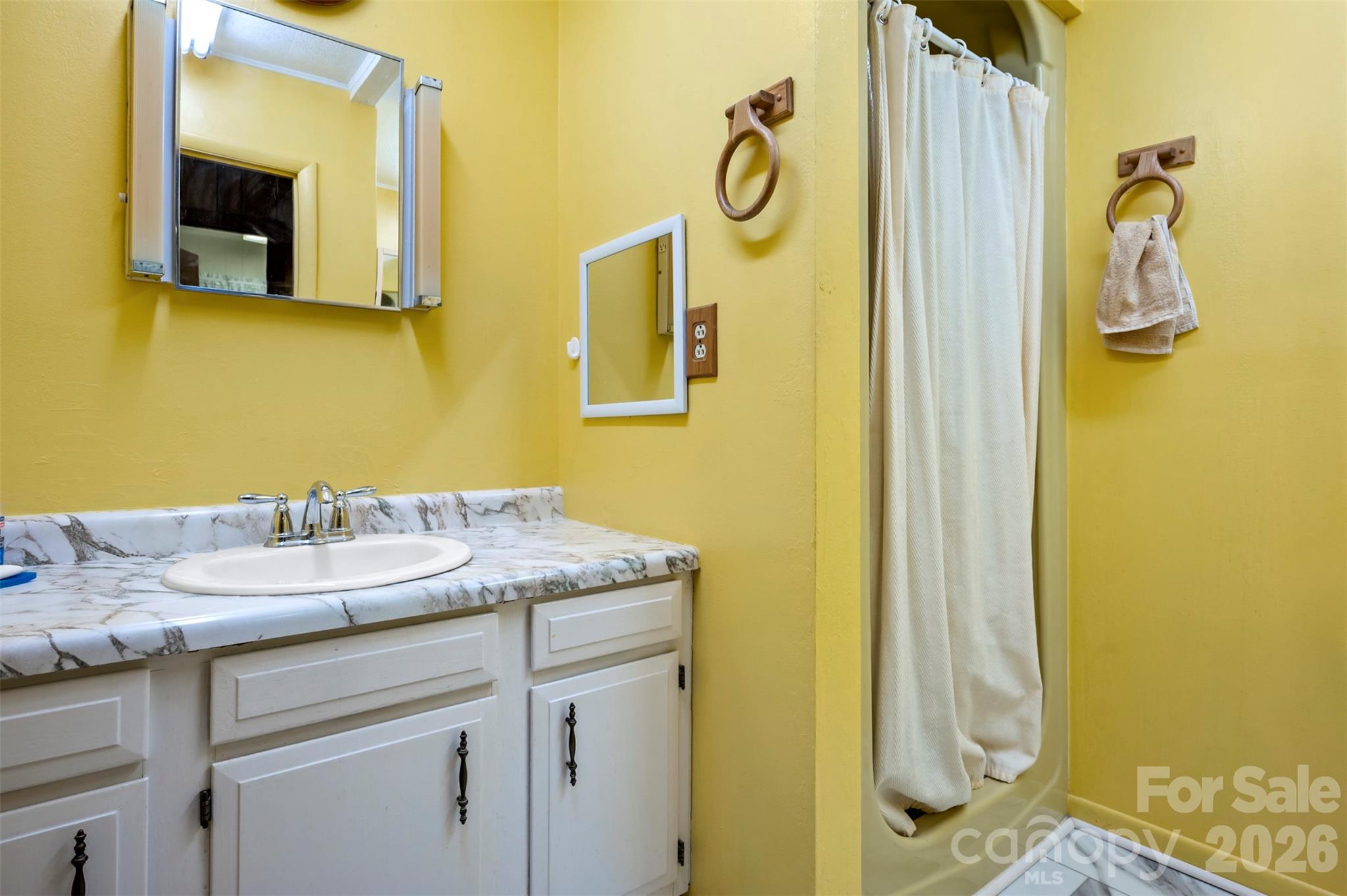 4665 Highway 9 Mill Spring, NC 28756 - Photo 15 of 46 a bathroom with a sink and a mirror