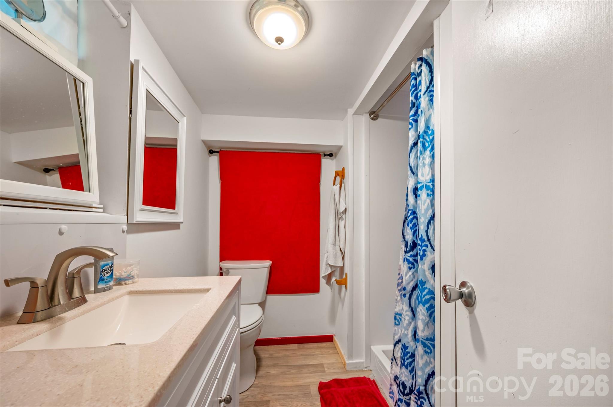 4665 Highway 9 Mill Spring, NC 28756 - Photo 24 of 46 a bathroom with a sink and a bath tub