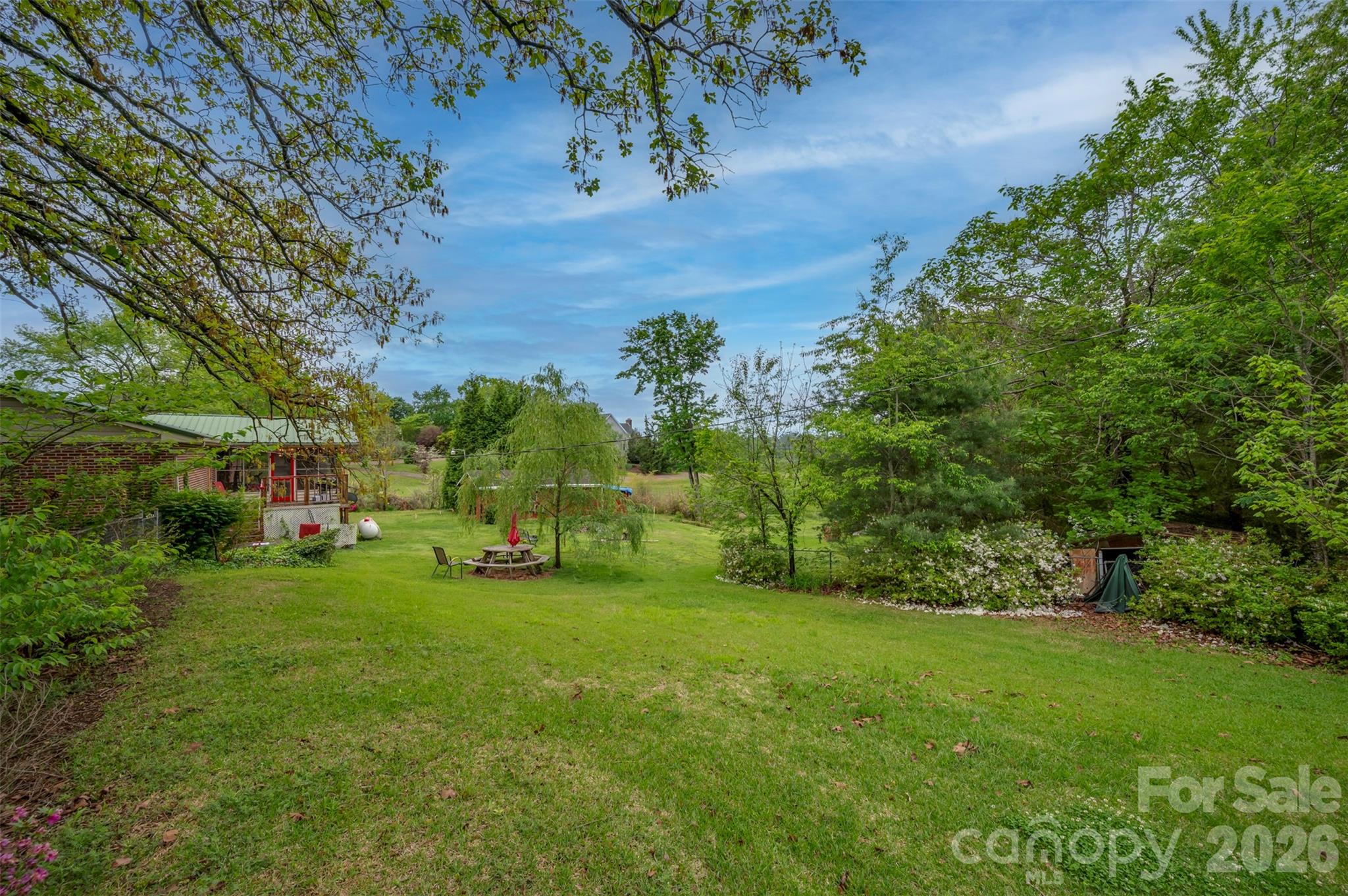 4665 Highway 9 Mill Spring, NC 28756 - Photo 39 of 46 a view of a park with large trees
