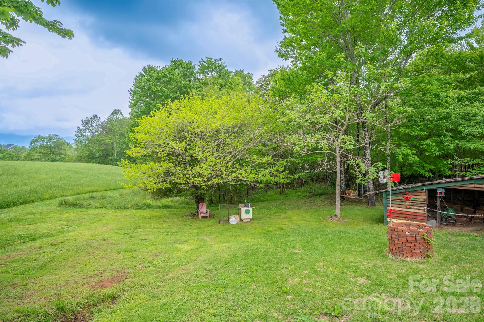 4665 Highway 9 Mill Spring, NC 28756 - Photo 40 of 46 a view of a garden with a slide