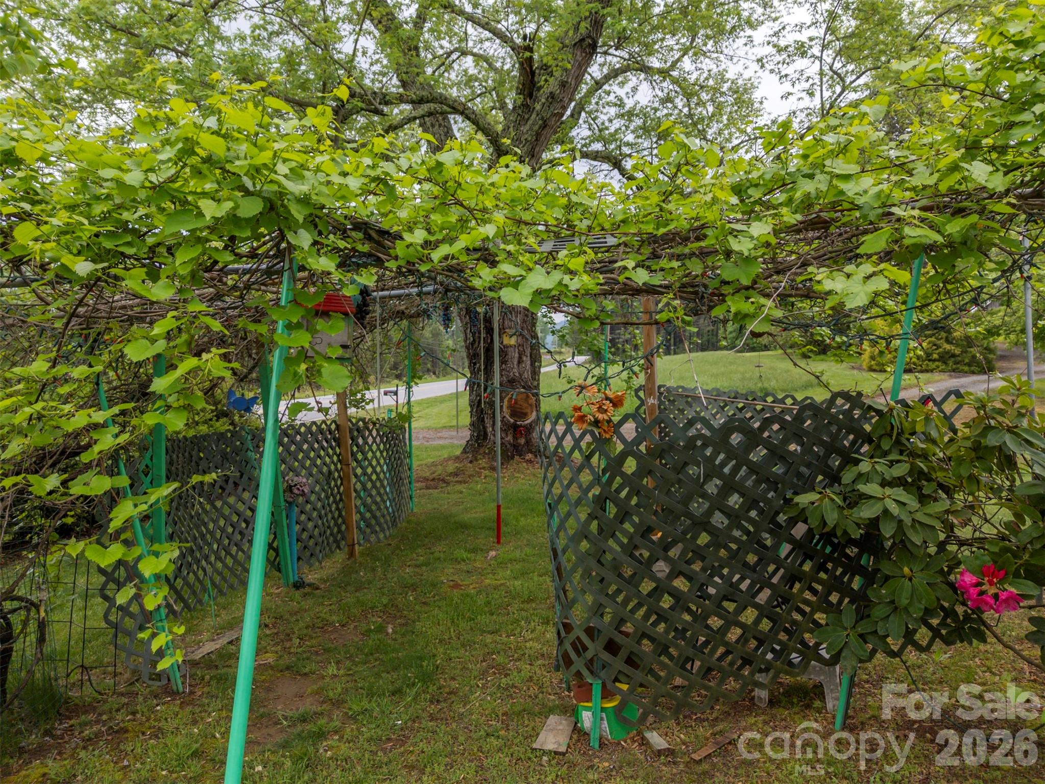 4665 Highway 9 Mill Spring, NC 28756 - Photo 46 of 46 a view of a garden