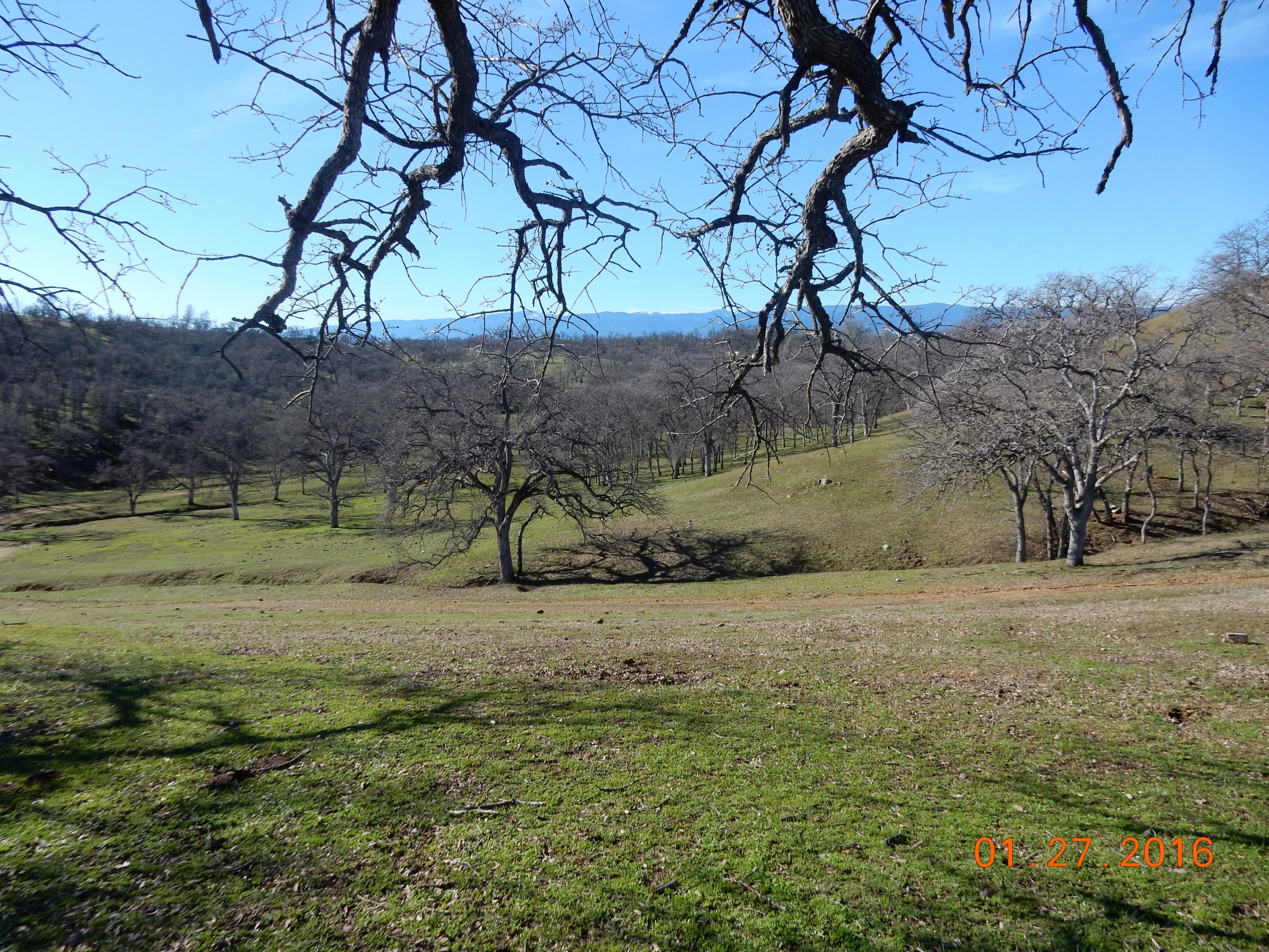 13925 Rattlesnake Ridge Road Red Bluff, CA 96080 - Photo 1 of 12 a view of a field with large trees