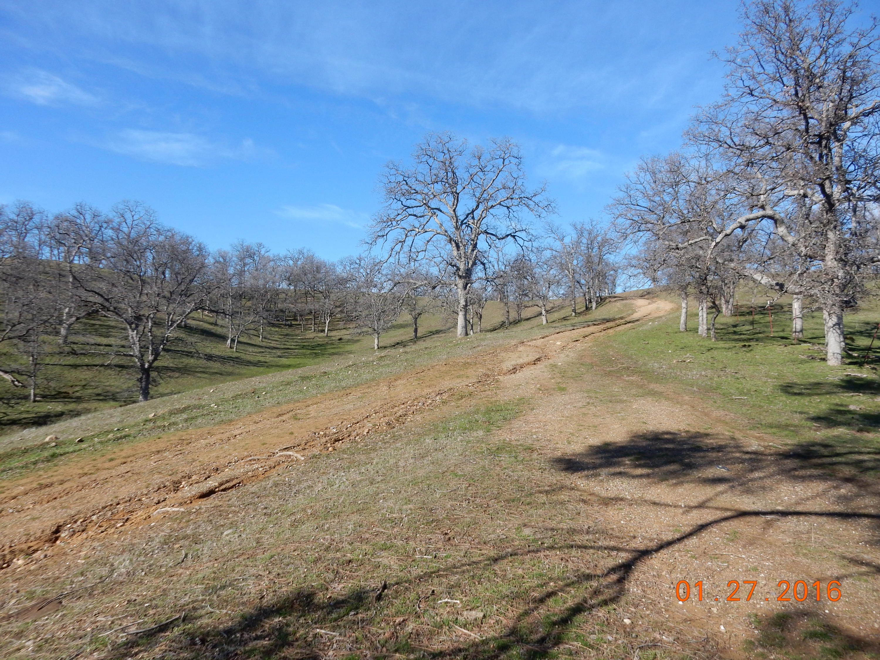 13925 Rattlesnake Ridge Road Red Bluff, CA 96080 - Photo 4 of 12 a view of dirt yard with large trees