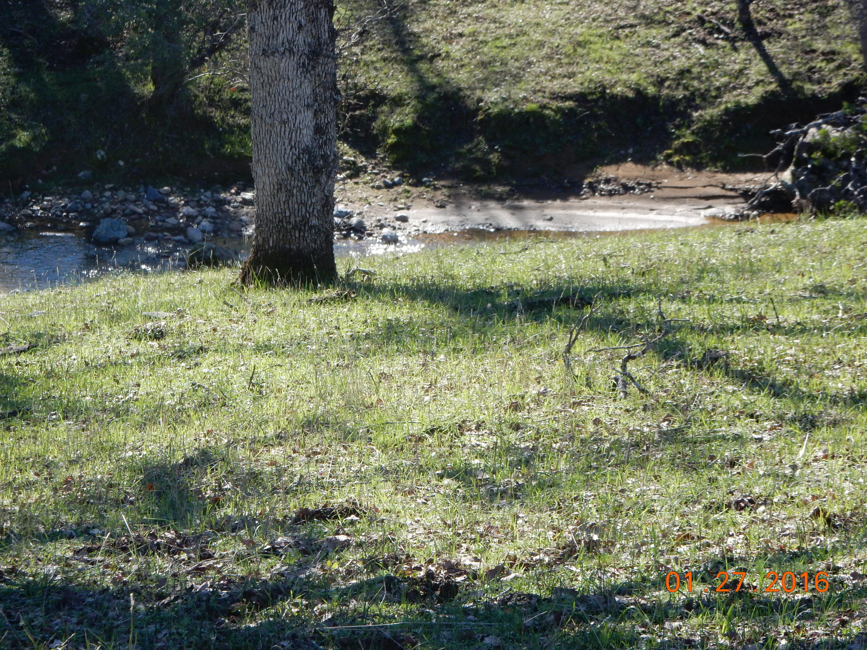 13925 Rattlesnake Ridge Road Red Bluff, CA 96080 - Photo 7 of 12 a view of outdoor space and yard