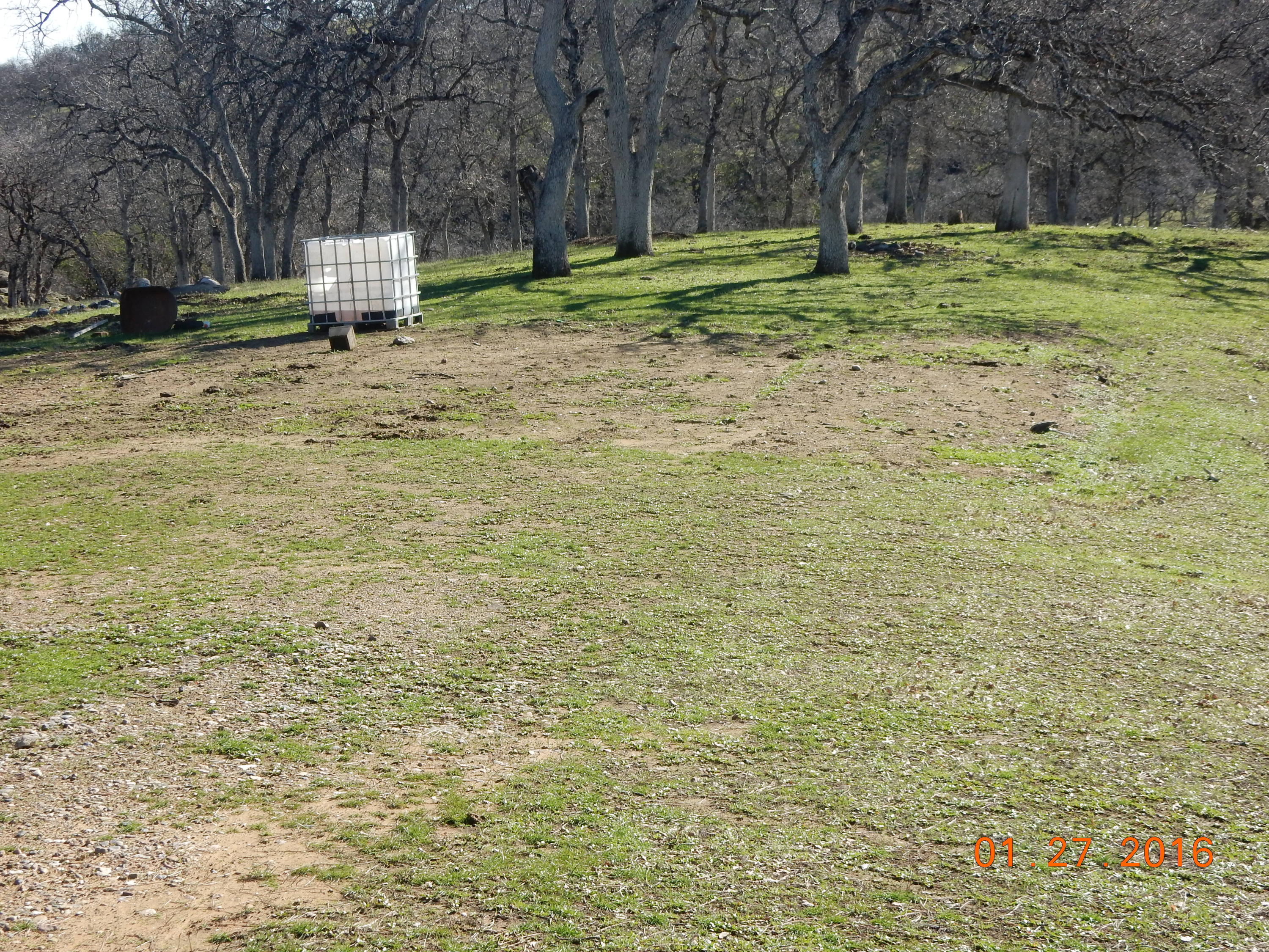 13925 Rattlesnake Ridge Road Red Bluff, CA 96080 - Photo 10 of 12 a fire hydrant in the middle of a field