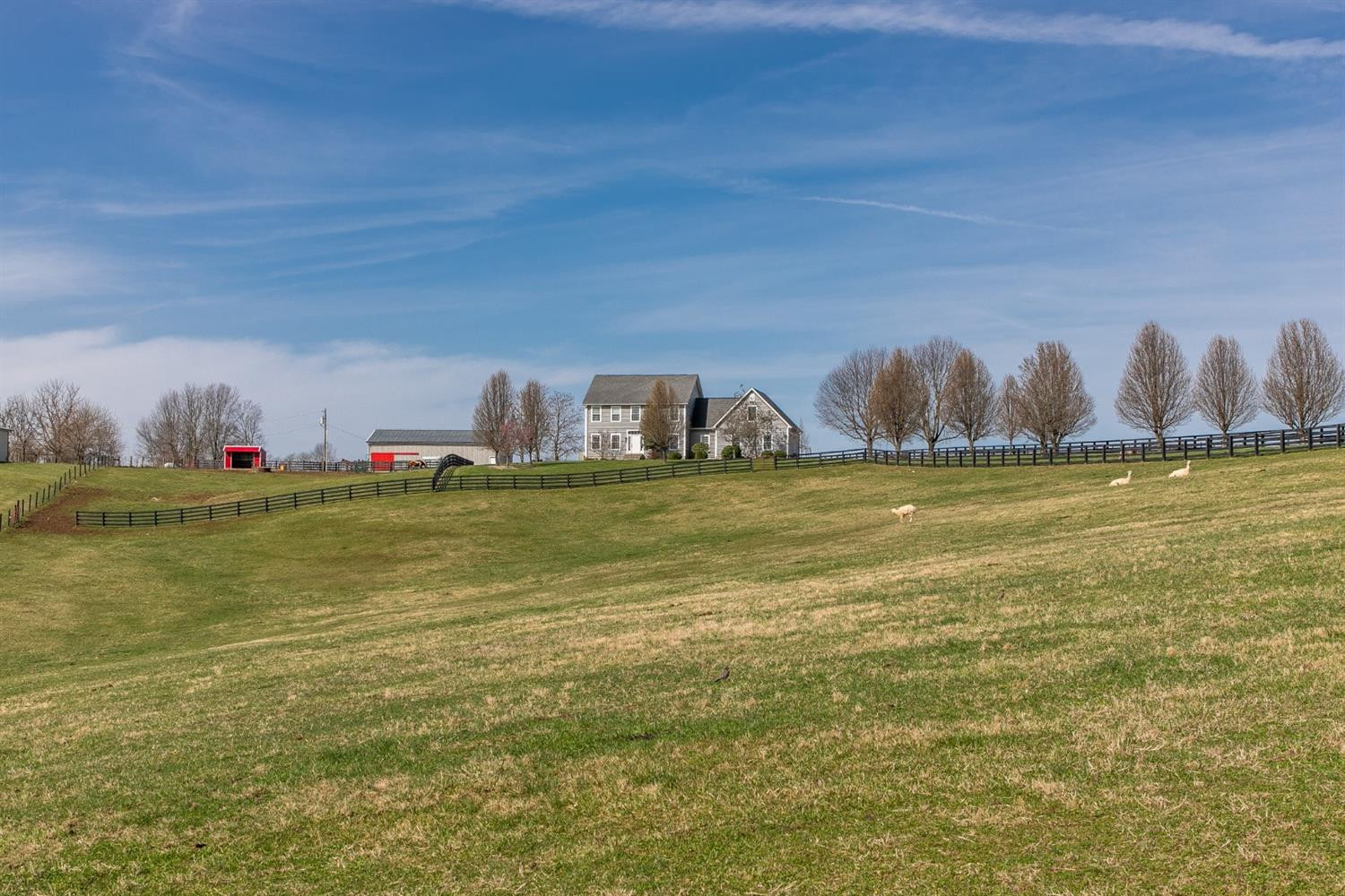 260 Sexton Road Harrodsburg, KY 40330 - Photo 75 of 82 Front field with plank and wire fencing