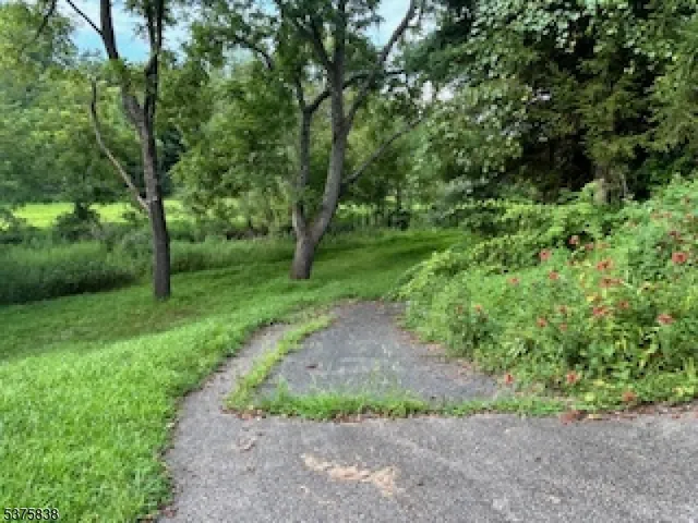 a view of a garden with large trees