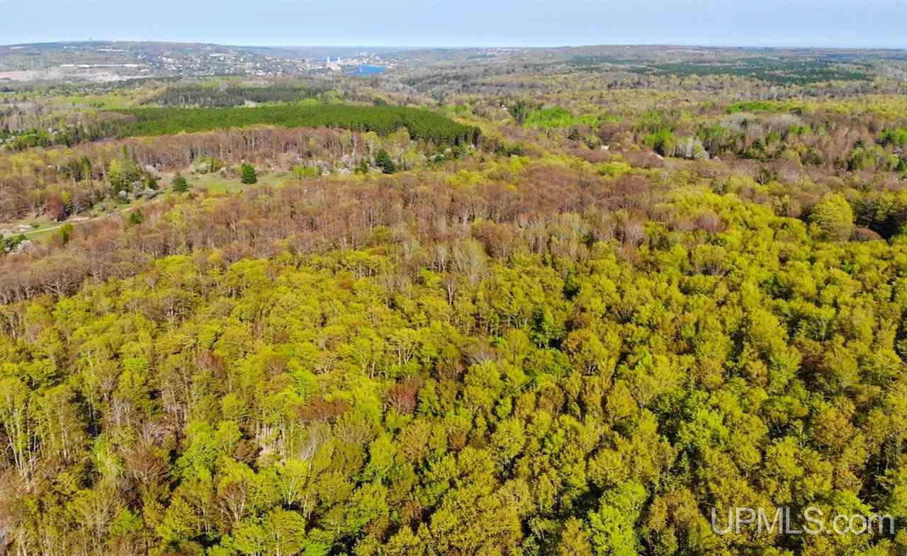 Tbd Rauhala Road, Unit PARCEL 7 Atlantic Mine, MI 49931 - Photo 7 of 15
