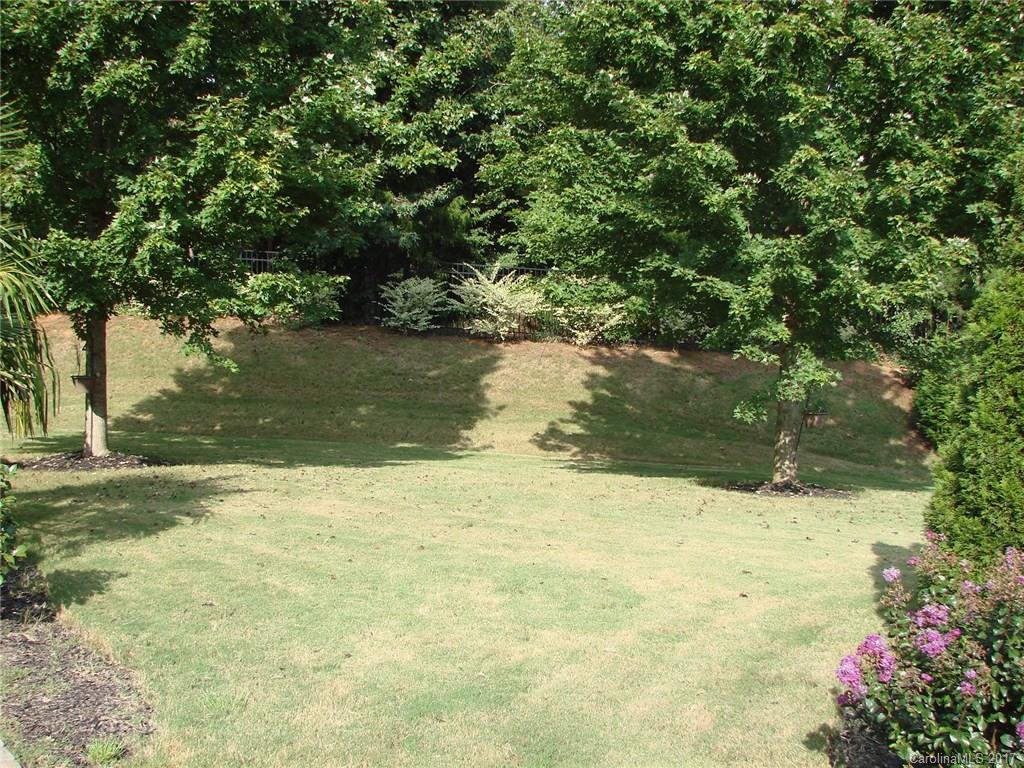 938 Treasure Court Fort Mill, SC 29708 - Photo 24 of 24 a view of a yard with a tree