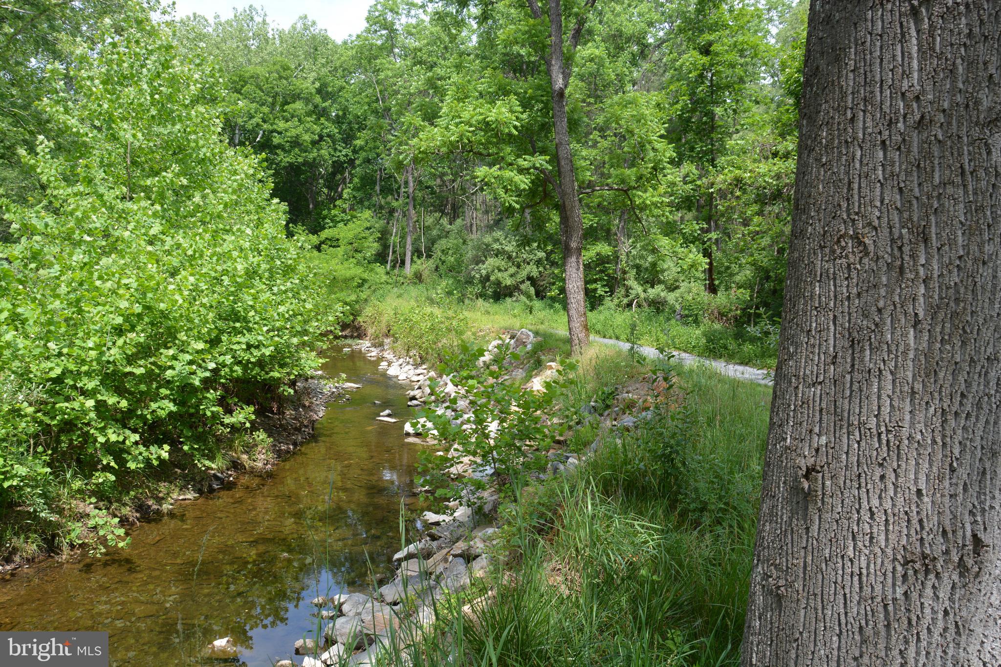Two Lots On Siler Road Winchester, VA 22603 - Photo 13 of 38 a view of a lush green forest