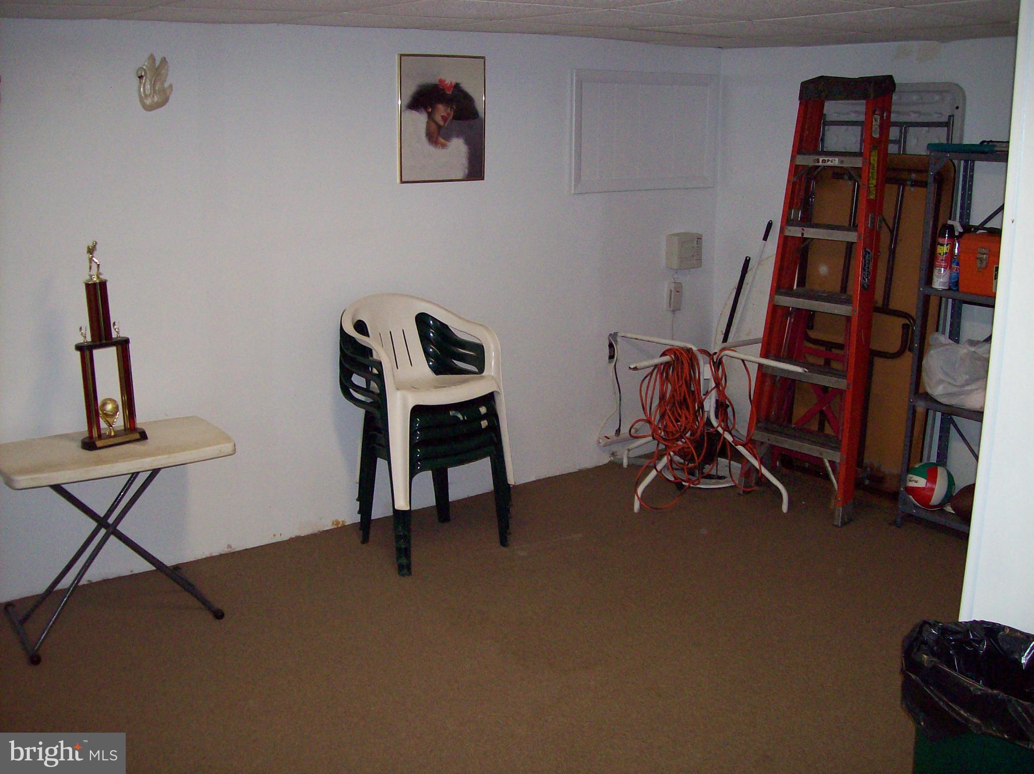 3664 Hilmar Road Baltimore, MD 21244 - Photo 16 of 19 Rear Basement or Storage Area