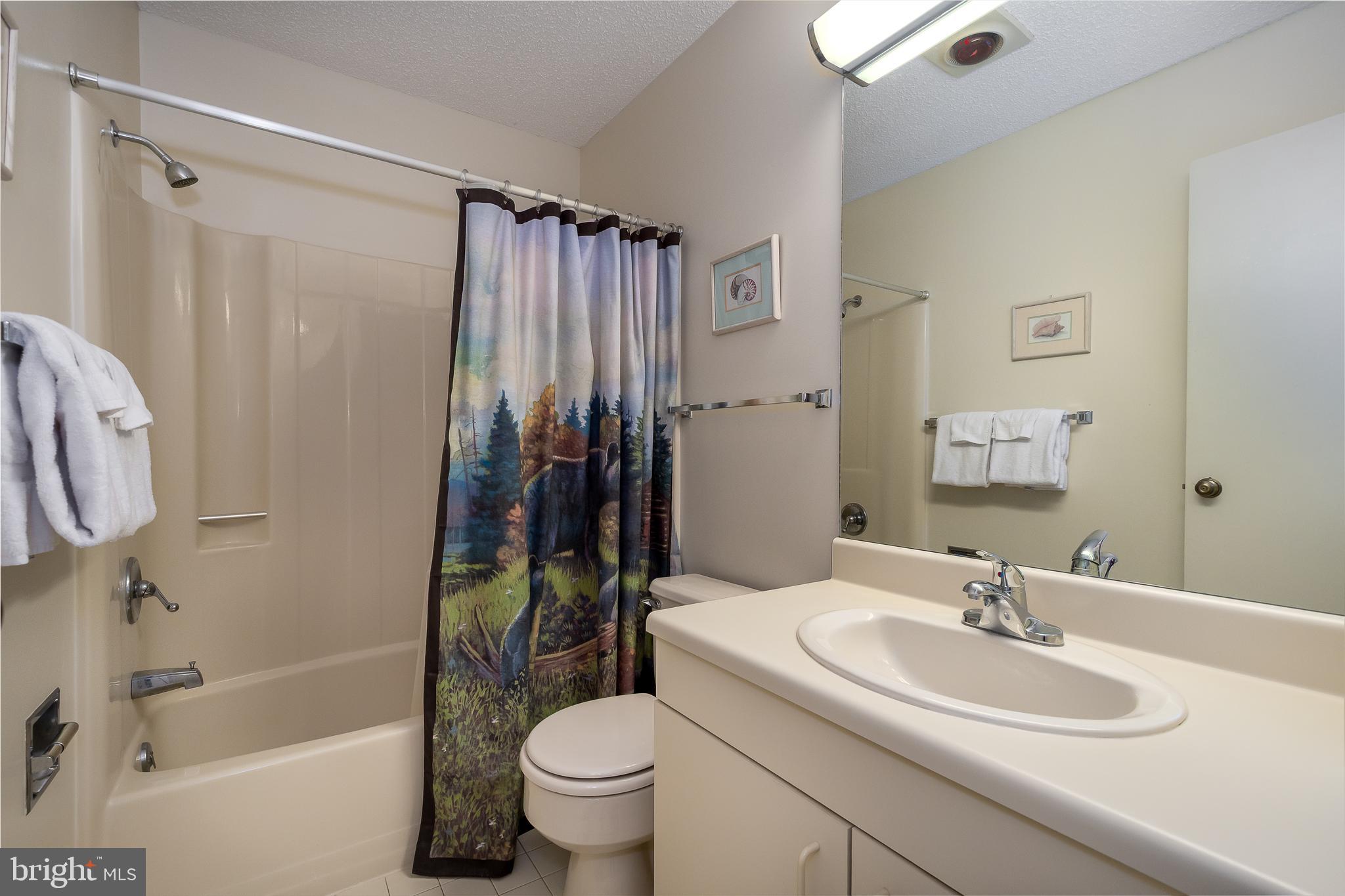 14 Winding Way, Unit 18B McHenry, MD 21541 - Photo 13 of 44 a bathroom with a sink toilet and shower
