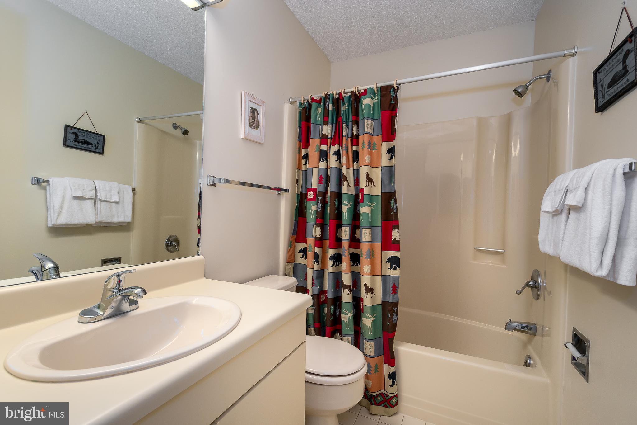 14 Winding Way, Unit 18B McHenry, MD 21541 - Photo 14 of 44 a bathroom with a sink toilet and shower