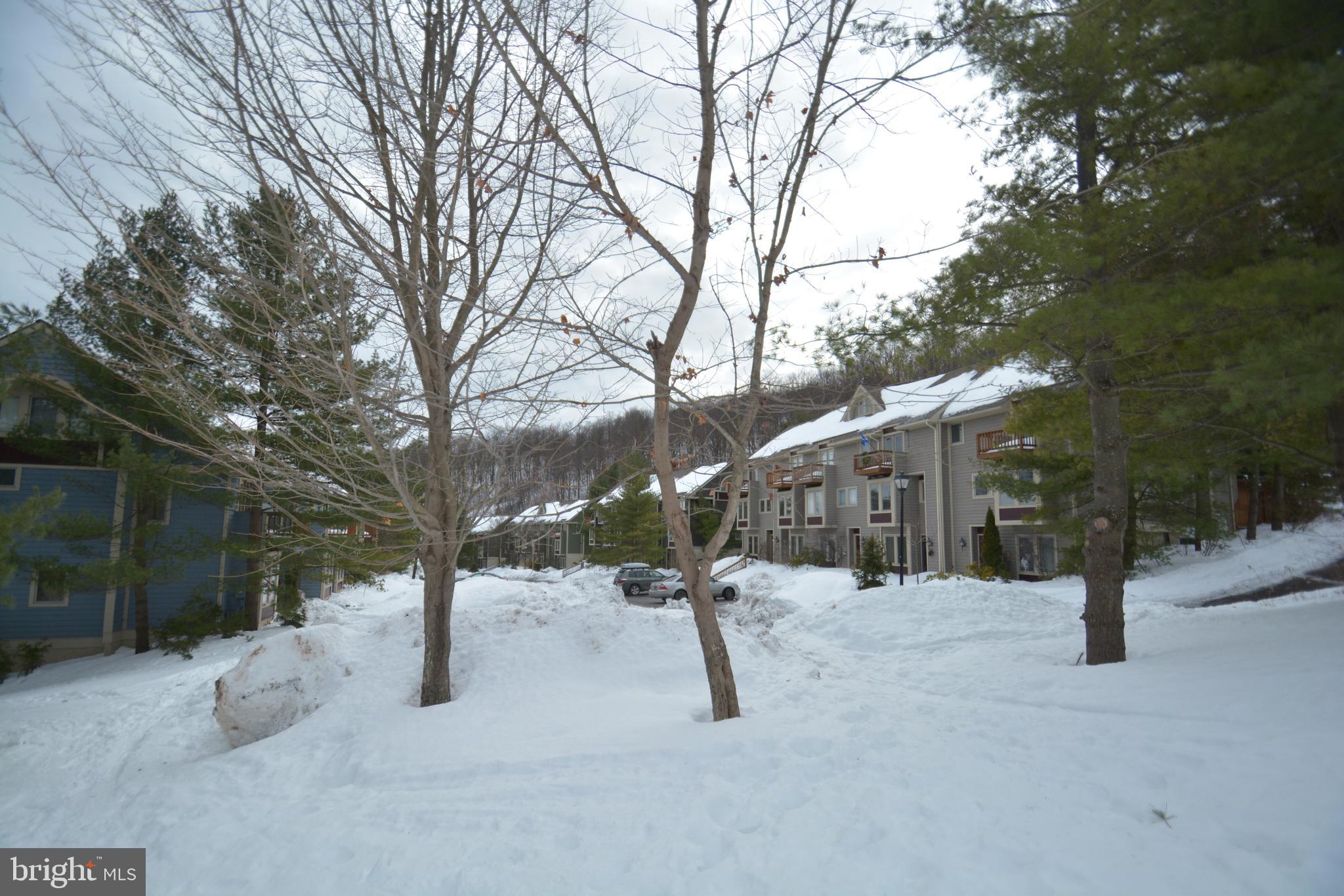 14 Winding Way, Unit 18B McHenry, MD 21541 - Photo 4 of 44 a view of snow on the road