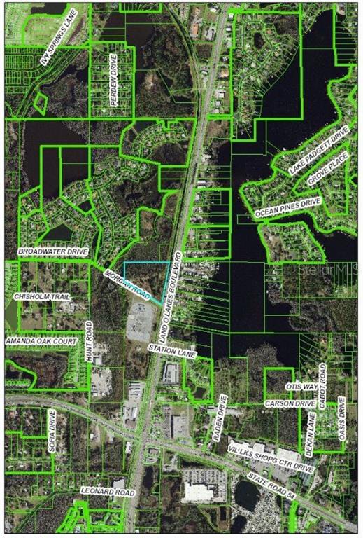 21201 Morgan Road Land O' Lakes, FL 34638 - Photo 1 of 1 Gallery Image 1