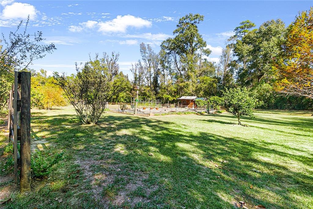 14163 Defries Road Folsom, LA 70437 - Photo 36 of 39 Gallery Image 36