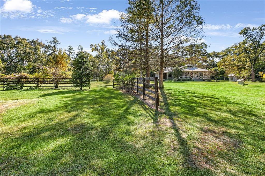 14163 Defries Road Folsom, LA 70437 - Photo 4 of 39 Gallery Image 4