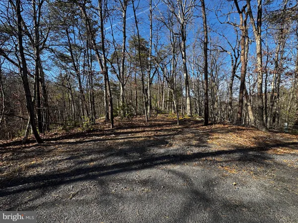 a view of a backyard with green space