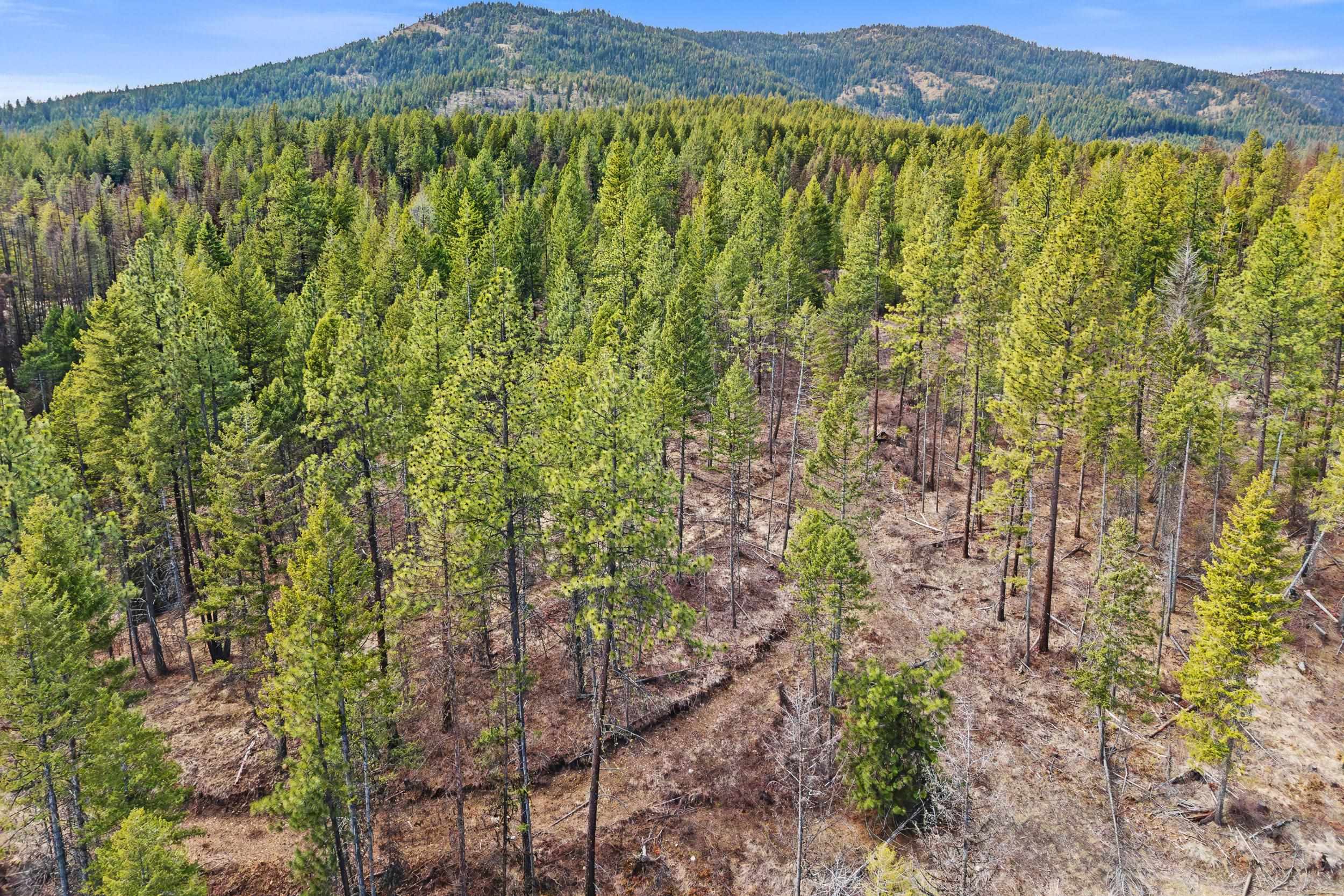 Nka Orin-Rice Road Wellpinit, WA 99040 - Photo 11 of 36