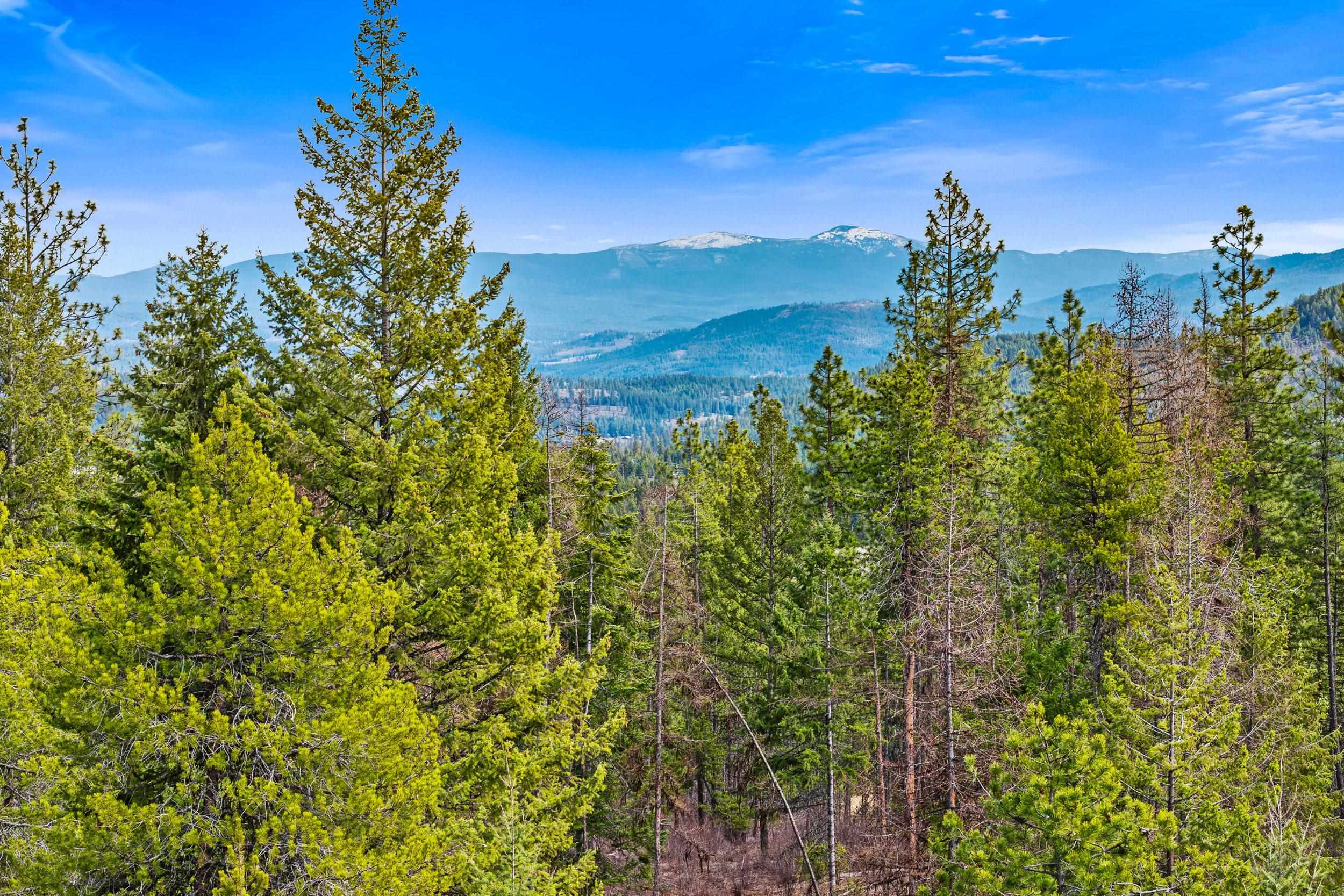 Nka Orin-Rice Road Wellpinit, WA 99040 - Photo 19 of 36