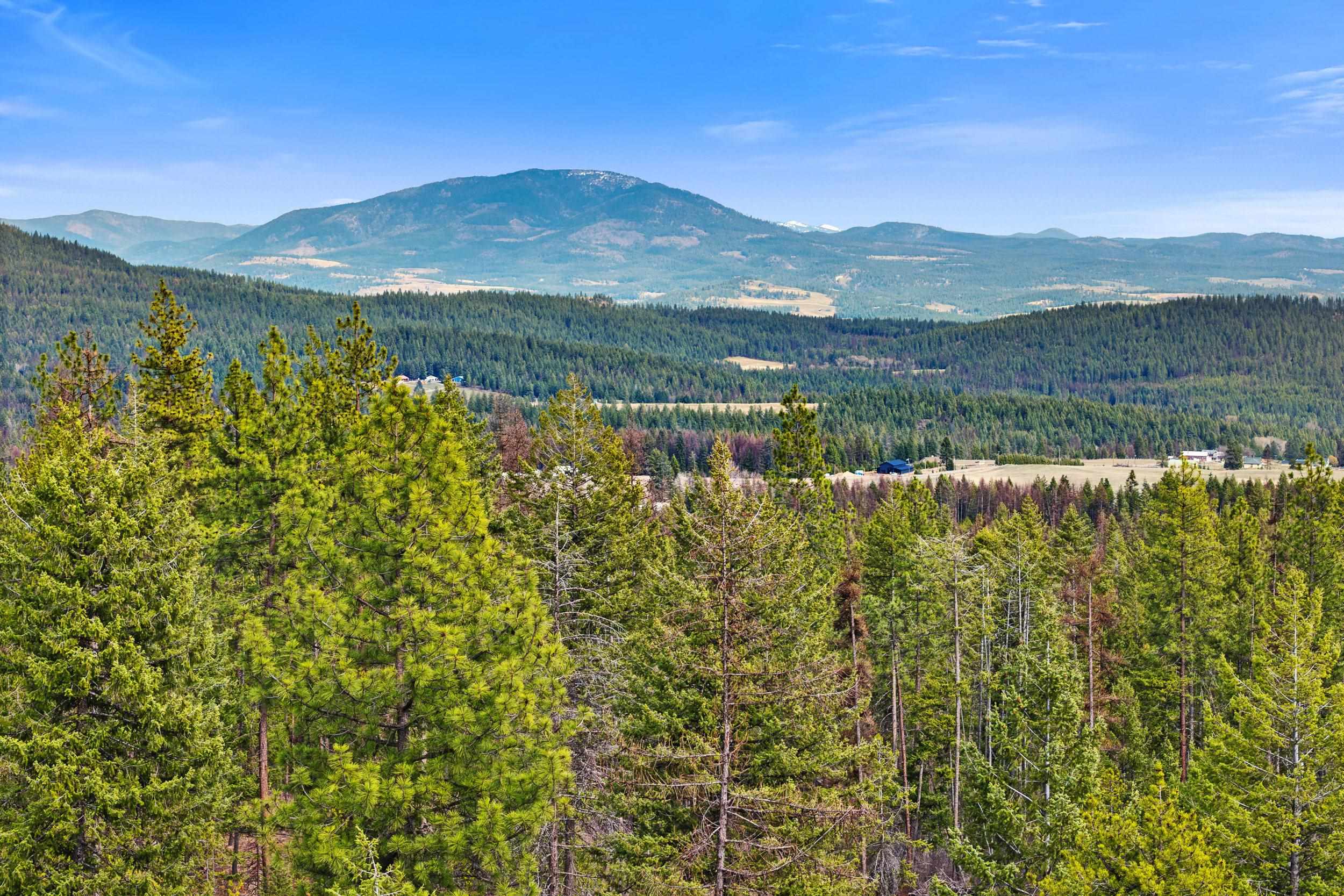 Nka Orin-Rice Road Wellpinit, WA 99040 - Photo 22 of 36