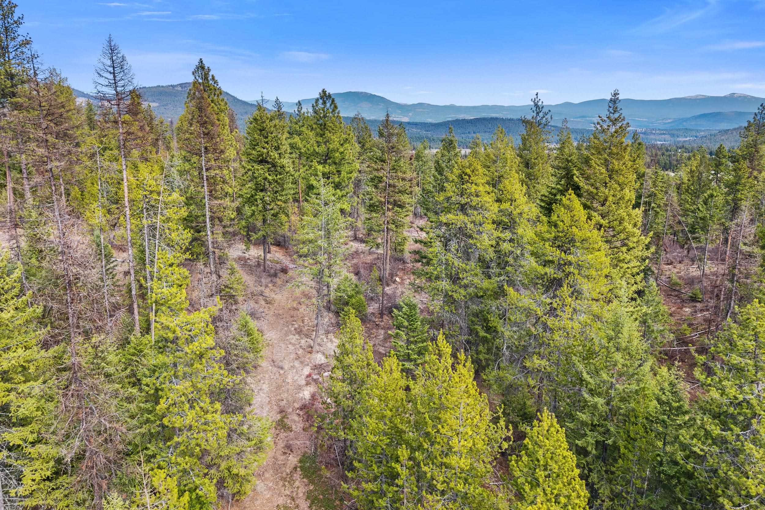 Nka Orin-Rice Road Wellpinit, WA 99040 - Photo 23 of 36