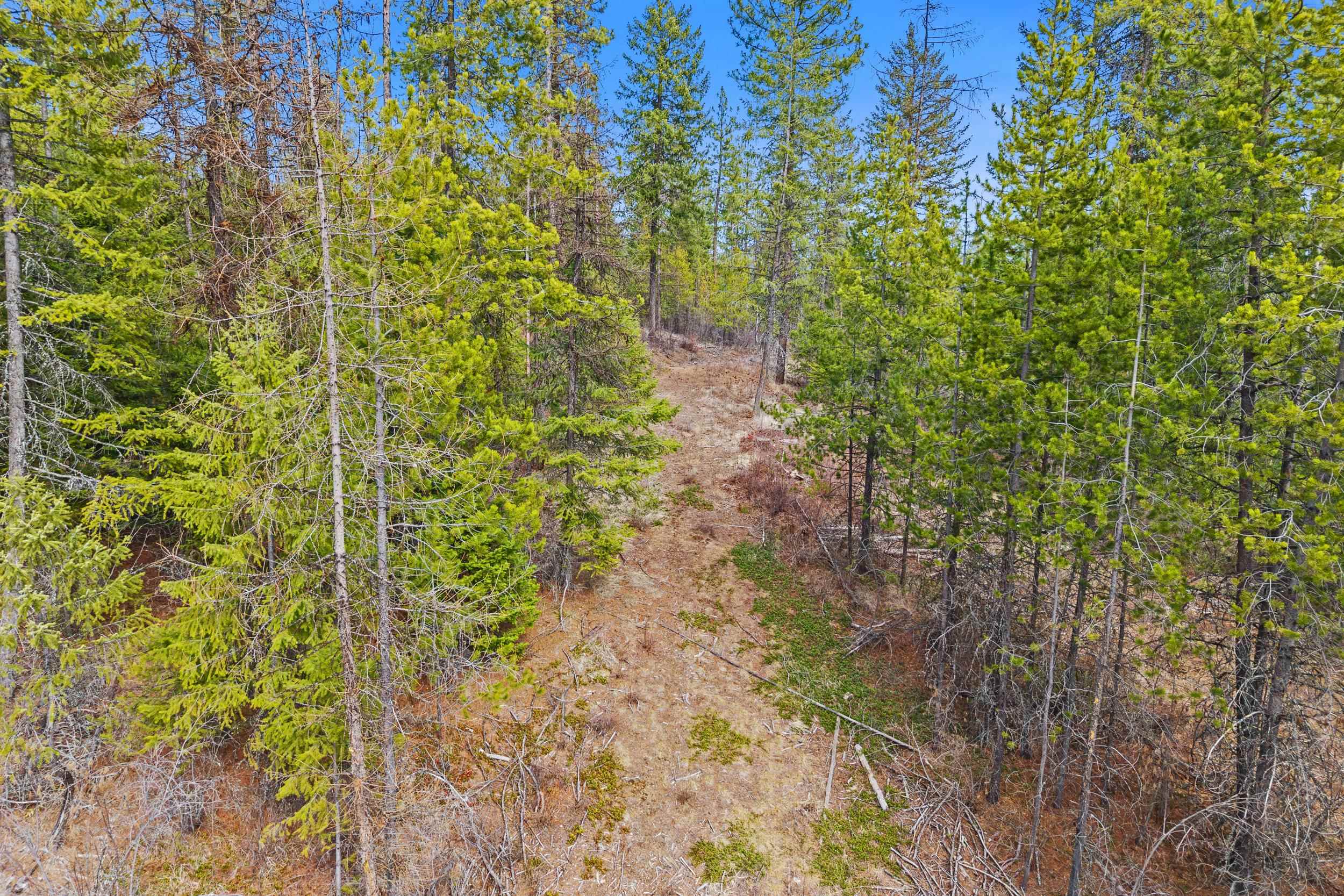 Nka Orin-Rice Road Wellpinit, WA 99040 - Photo 25 of 34