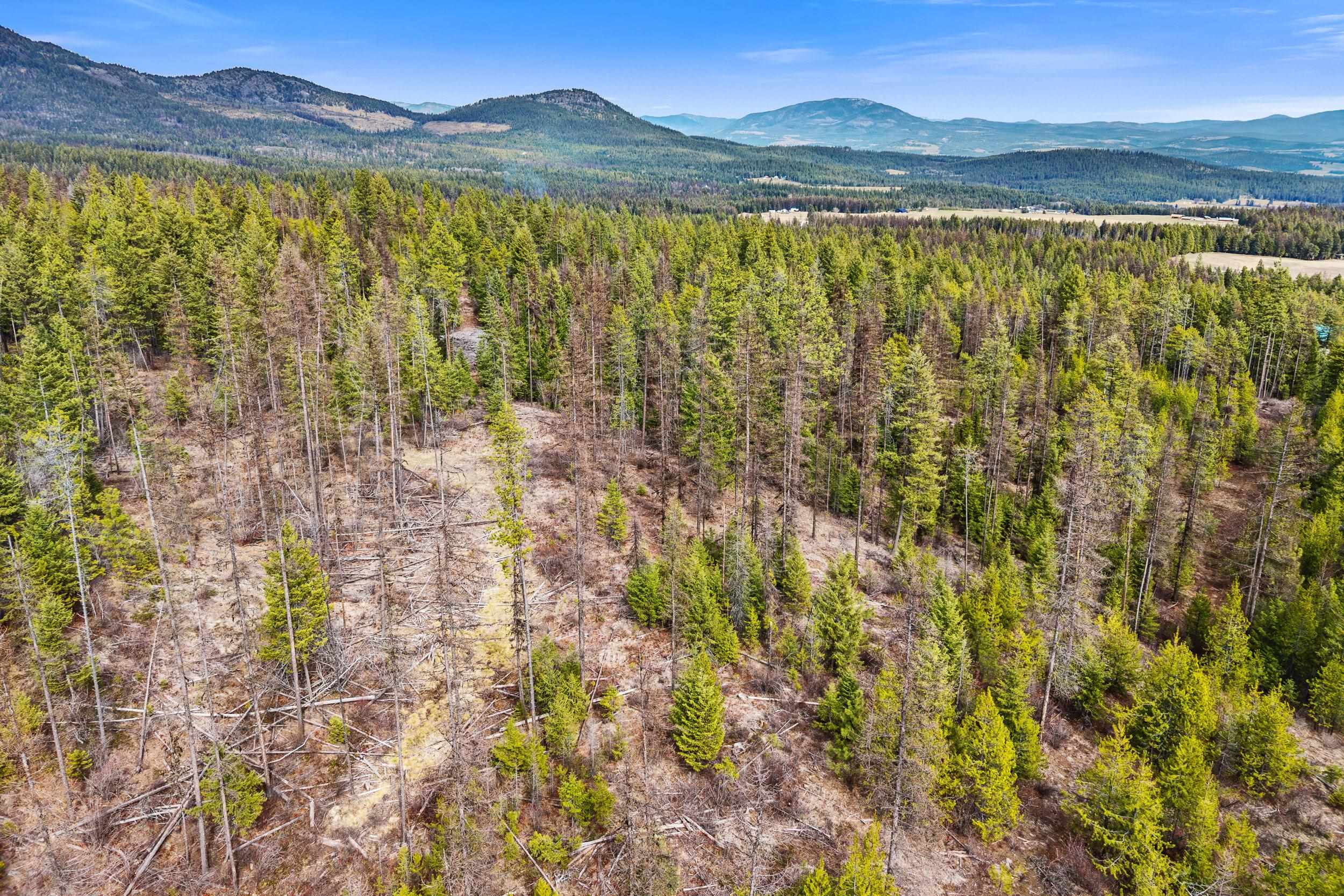 Nka Orin-Rice Road Wellpinit, WA 99040 - Photo 29 of 36