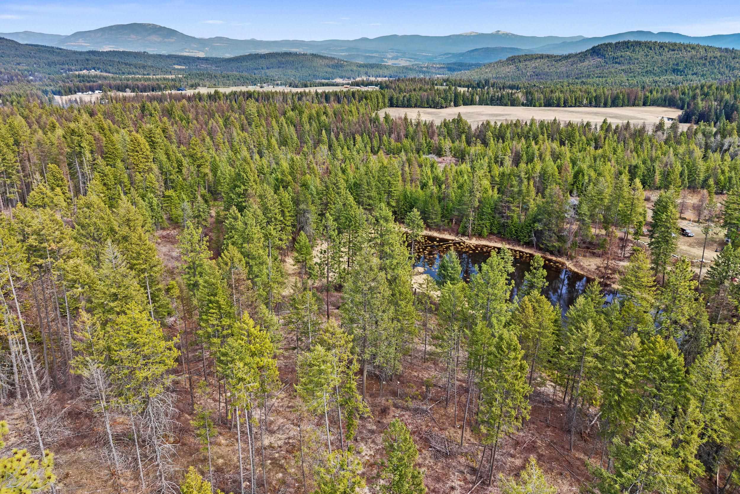 Nka Orin-Rice Road Wellpinit, WA 99040 - Photo 30 of 36