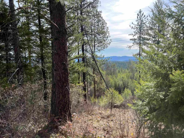 $130,000 | Nka Orin-Rice Road, Wellpinit, WA 99040