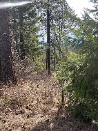 $130,000 | Nka Orin-Rice Road, Wellpinit, WA 99040