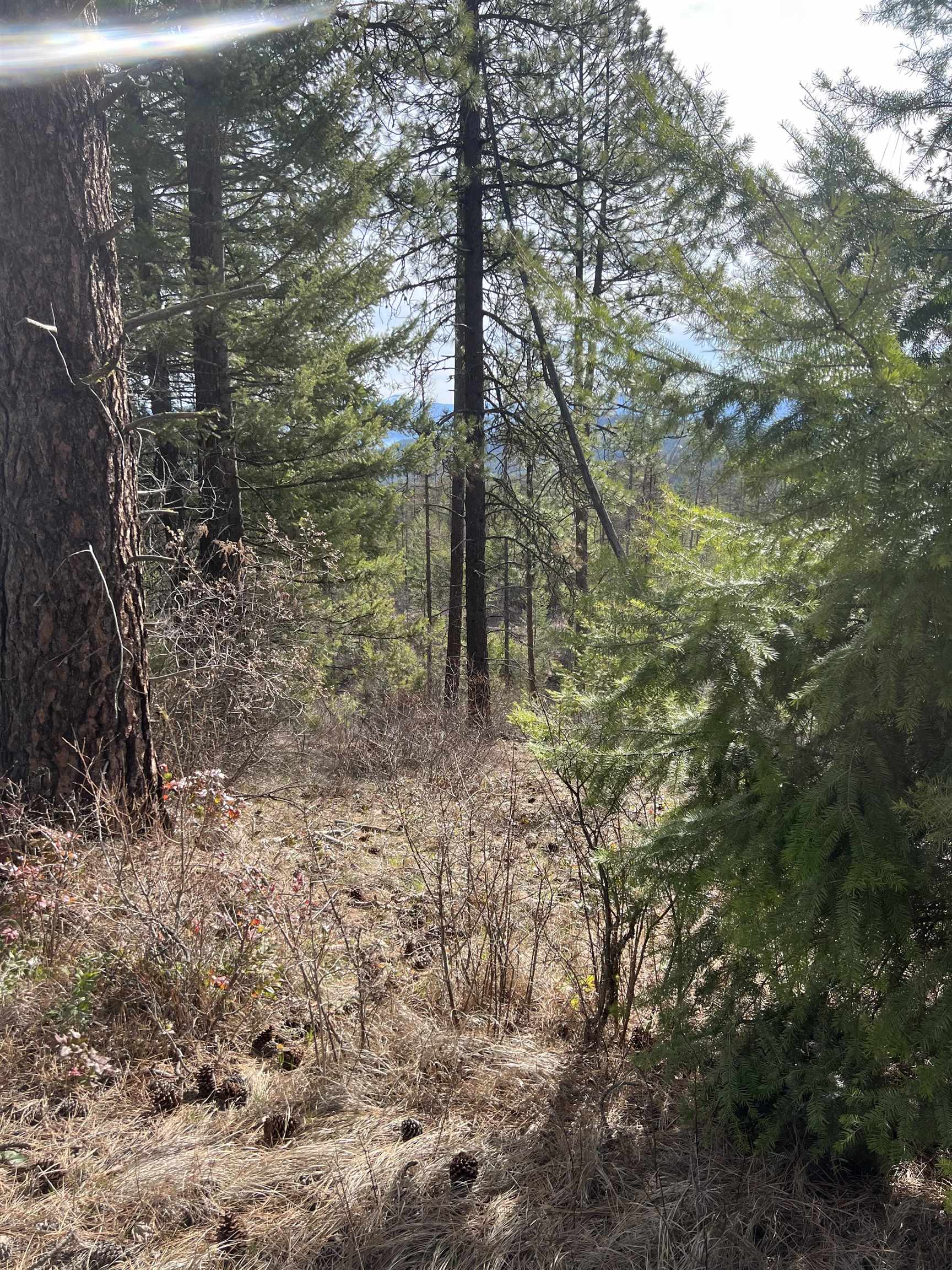 Nka Orin-Rice Road Wellpinit, WA 99040 - Photo 4 of 36