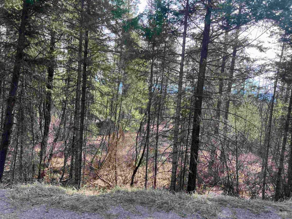 $130,000 | Nka Orin-Rice Road, Wellpinit, WA 99040