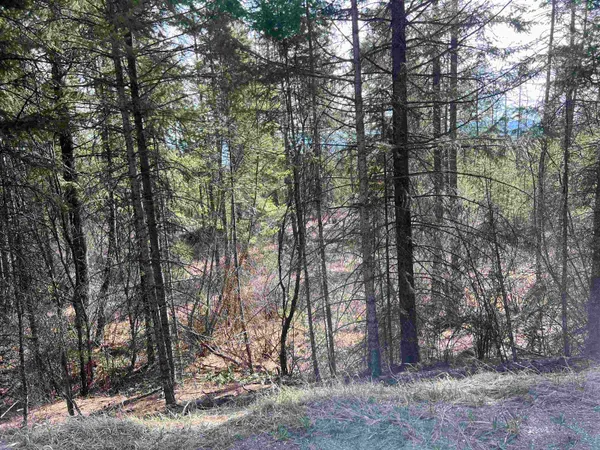 $130,000 | Nka Orin-Rice Road, Wellpinit, WA 99040