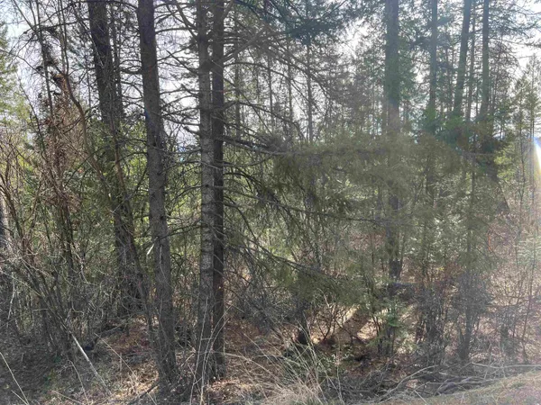 $130,000 | Nka Orin-Rice Road, Wellpinit, WA 99040